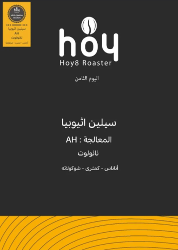 اليوم الثامن اثيوبيا سيلين 250ج