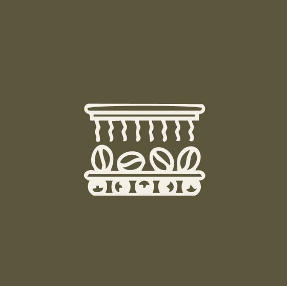 معالجة خاصة