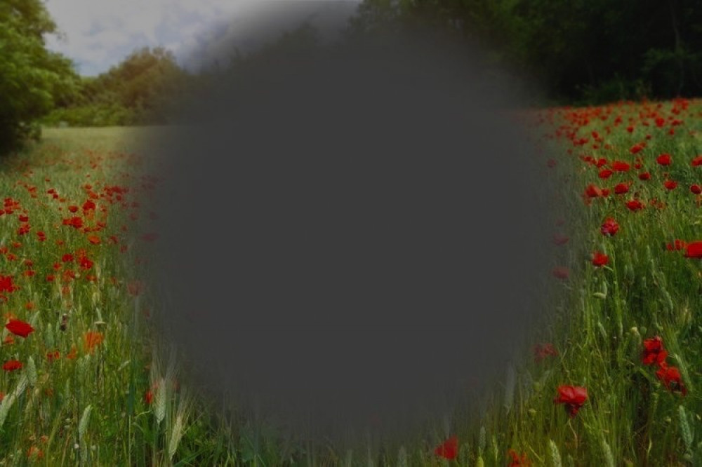 التنكّس البقعي