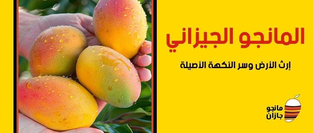 المانجو الجيزاني — إرث الأرض وسر النكهة الأصيلة