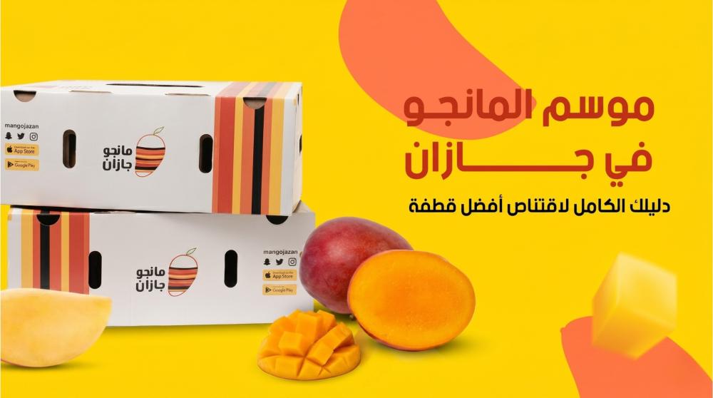 موسم المانجو في جازان — دليلك الكامل لاقتناص أفضل قطفة