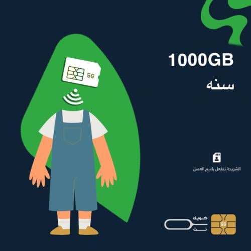 1000GB سنه