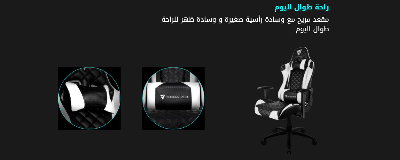 Thunder x3 gaming chair black and white discount tgc12