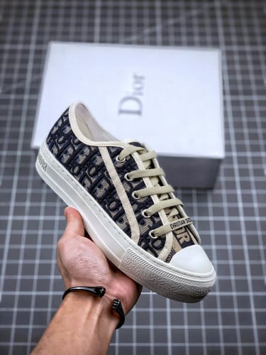 Converse Dior
