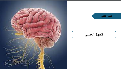 احياء 2-2- تأثير العقاقير