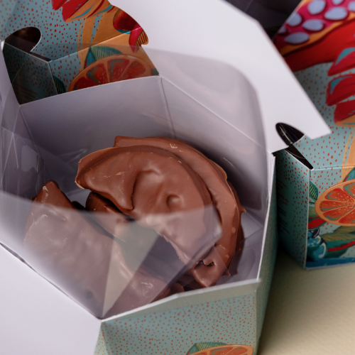 شرائح برتقال مسكرّة ومغطسة بشوكولاتة