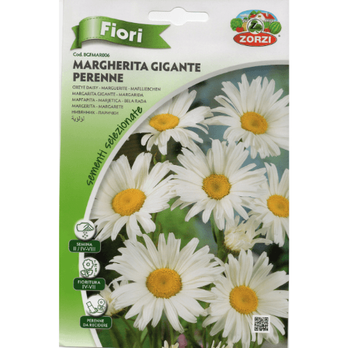 بكيت بذور لؤلؤية