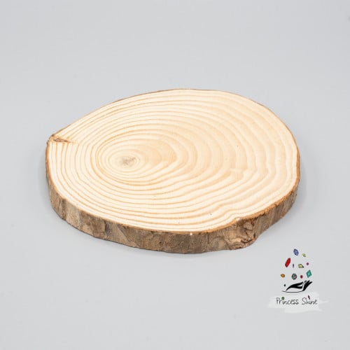 101 - قطعة خشبية ( جذع شجرة ) للأعمال الفنية 12سم