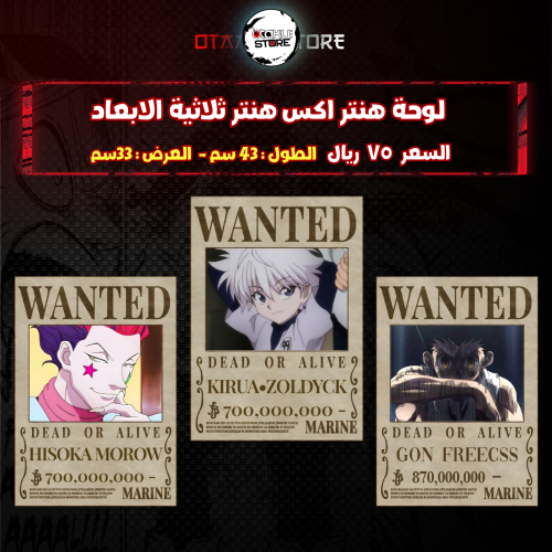 لوحة هنتر اكس هنتر ثلاثي الابعاد- 3D Hunter X Hunter wall pantel