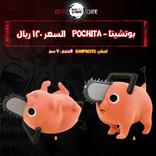 بوتشيتا - Pochita