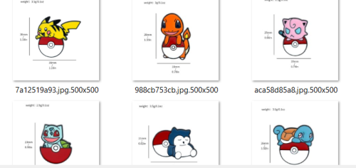 بروش بوكيمون - Pokemon Brooch