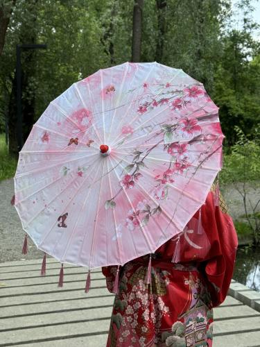 مظلة يابانية - Japanese umbrella