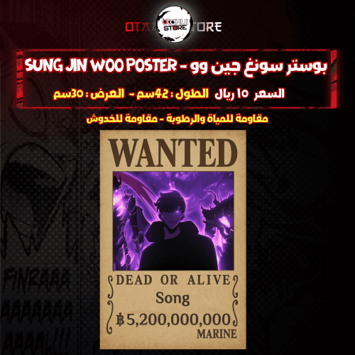 بوستر سونغ جين وو - Sung Jin woo poster