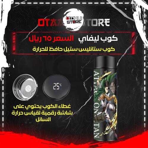 كوب ليفاي - Levi Cup