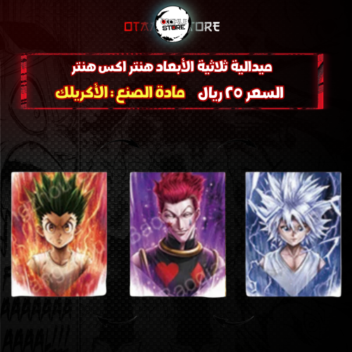 ميدالية ثلاثي الابعاد هنتر اكس هنتر - Hunter X Hunter 3D Keychain