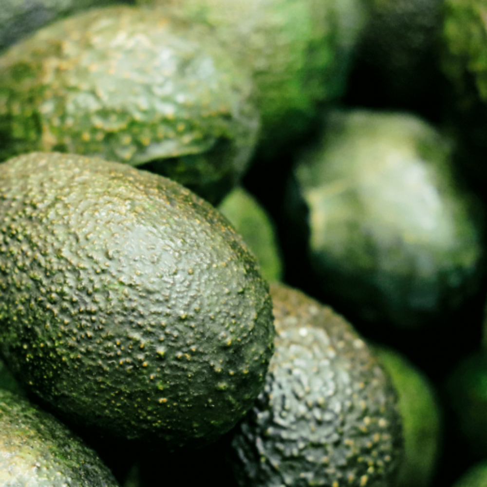 راوش شامبو الأفوكادو للشعر المصبوغ 200ml