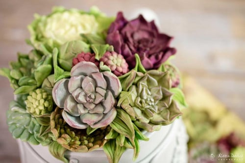 قالب سيليكون Succulent