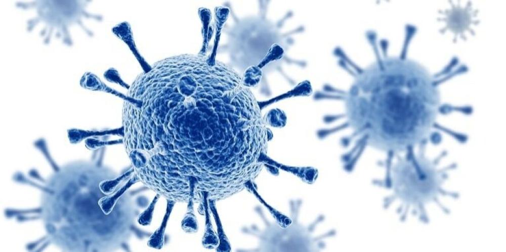 هل التقبيل ينقل فيروس الإيدز؟ دراسة حول مخاطر انتقال الفيروس عبر التقبيل