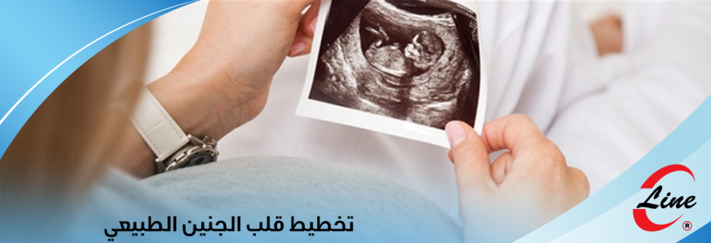 تخطيط قلب الجنين الطبيعي