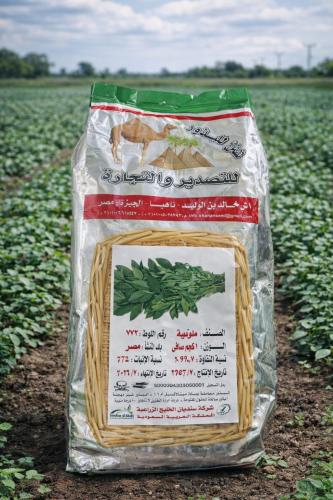 بذور ملوخية مصرية ابو جمل 1 كجم