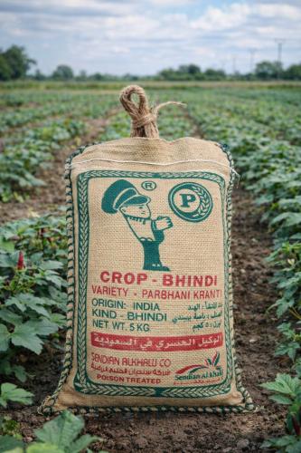 بذور بامية ابو عسكري هندي 5 كجم