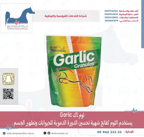 ثوم 1ك Garlic