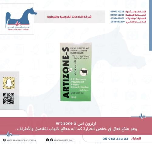 ارتزون اس Artizone S