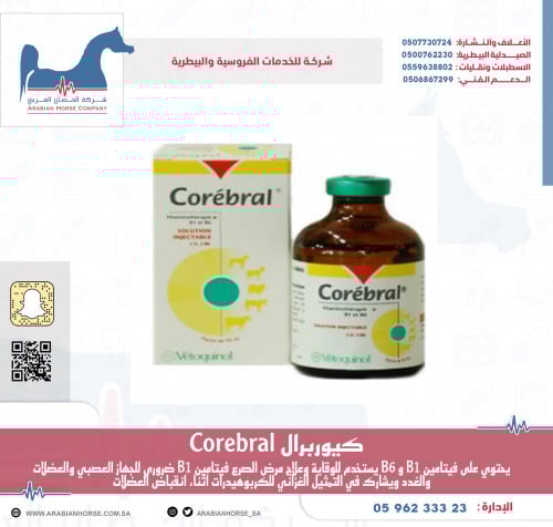 كيوربرال Corebral