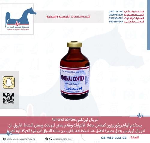 ادرينال كورتكس Adrenal cortex