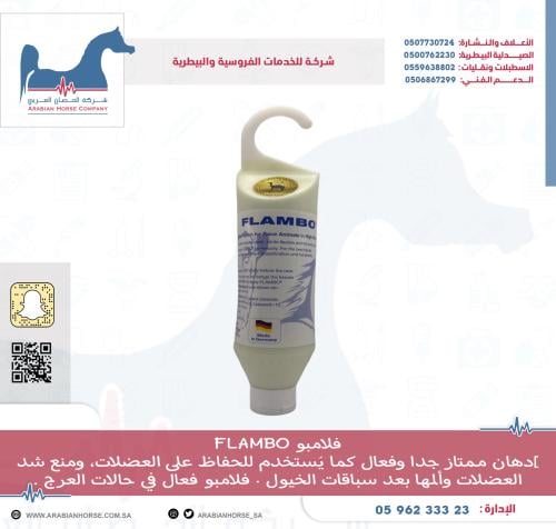 فلامبو  FLAMBO