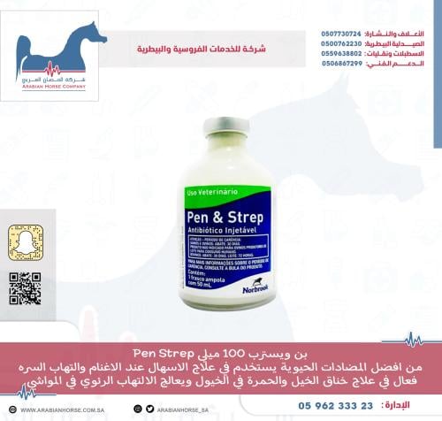 بن ويسترب 100 ميلي Pen Strep