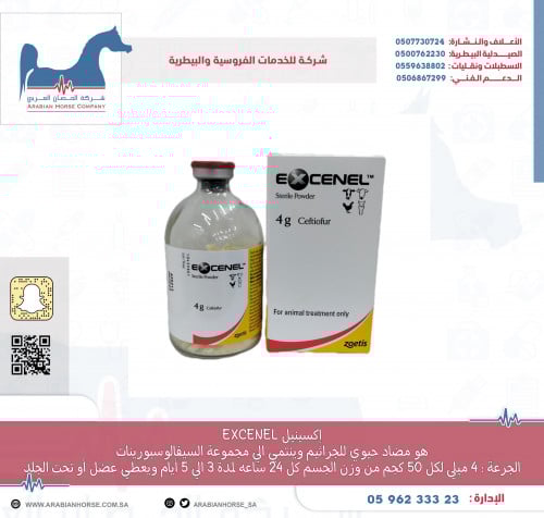 اكسينيل EXCENEL