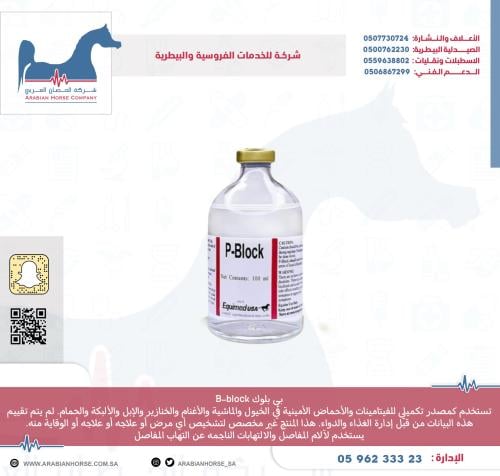 بي بلوك B-block