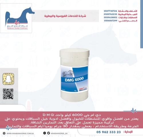 دي ام جي 6000 ك D M G