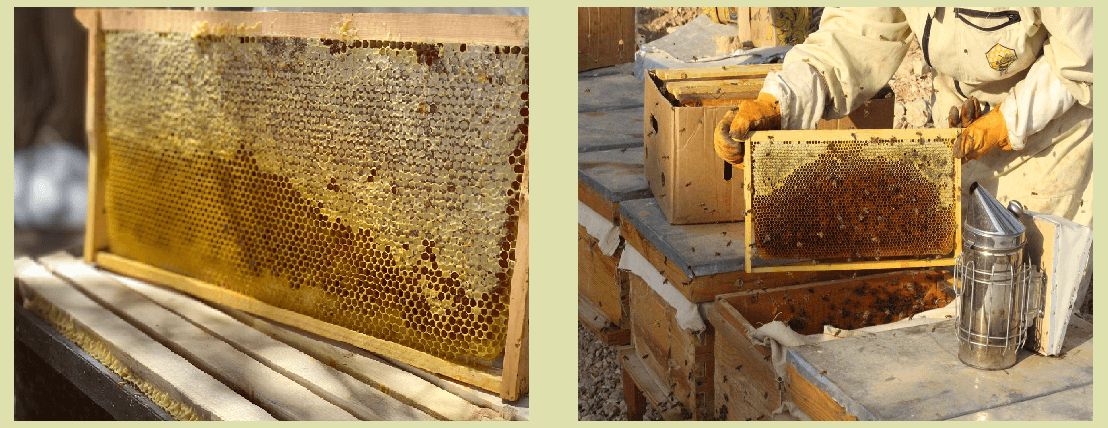 عسل الخضيري البري image-slider-2