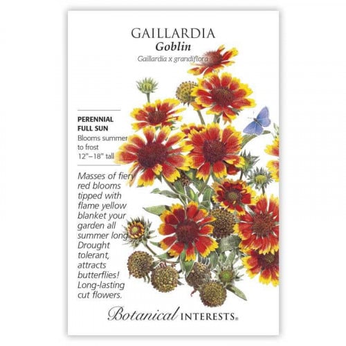 بذور عنبر كشميري - Gaillardia Goblin Seeds