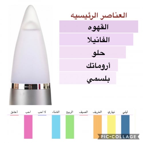 روشاس مان-100 مل- Rochas Man