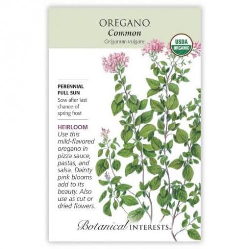 بذور اوريجانو عضوي - Common Oregano Seeds