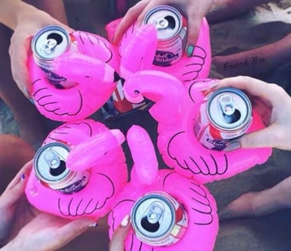 فلامنجو حامل كوب