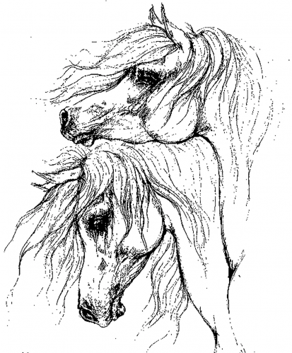 خيل (2 ) شاشة حريرية