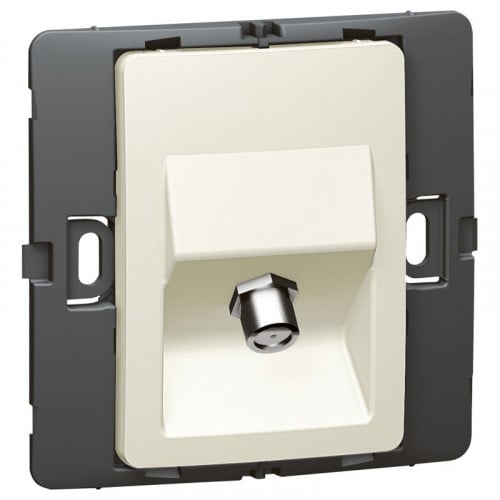 فيش تلفزيون ذكر