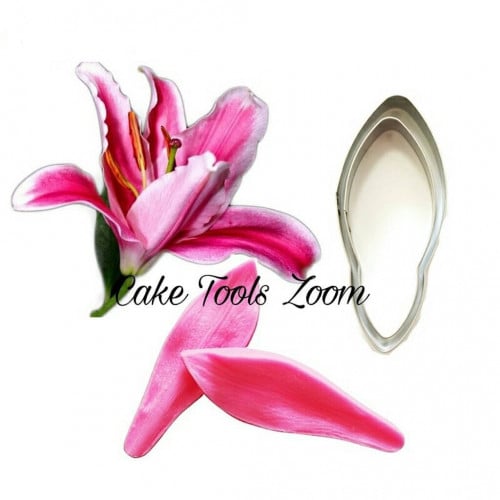 قطاعة و فينر ليلي