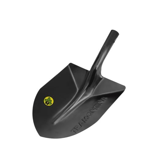 شيول (( كريك )) كبير برازيلي