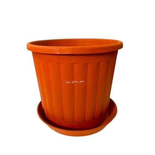 دائري فرنسي 30 سم