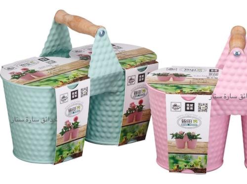 وعاء زراعي باضافه اسفنجة إنبات وبذور