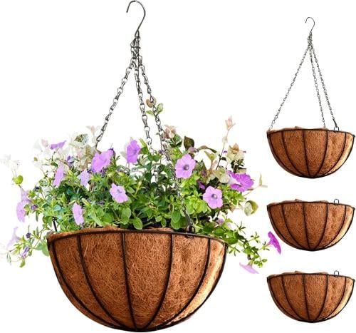 تعليقة الجوز الهند خوص الحجم كبيرة