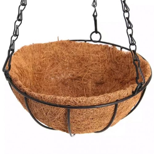 تعليقة الجوز الهند خوص الحجم وسط