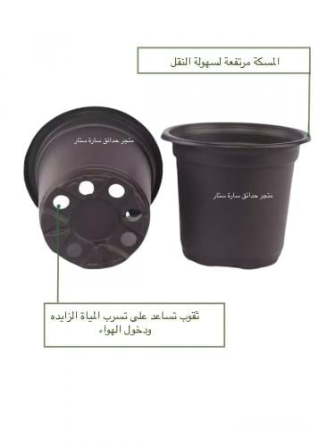 10 حبات مراكن 9 سم