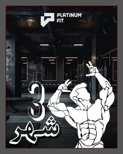 اشتراك 3 شهور + 10 ايام