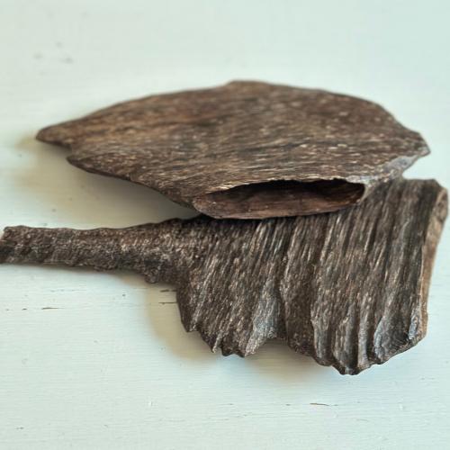 اوقيه عود قواقع هندي